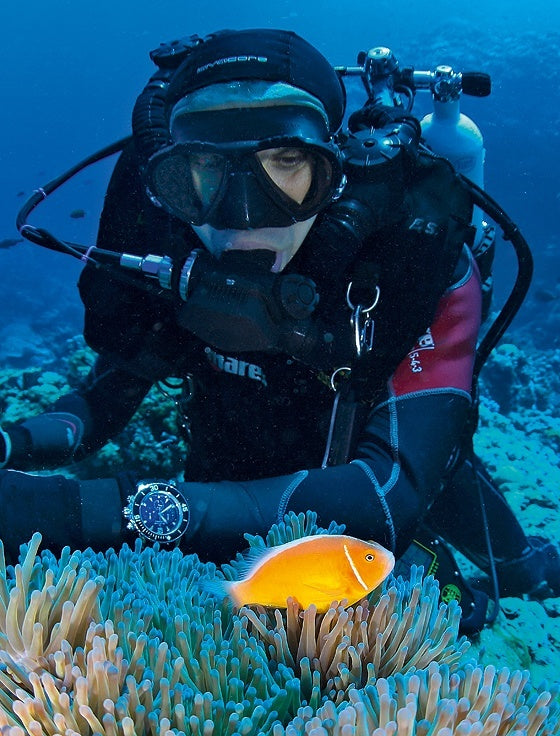 Deep Seas to Daily Wear: The Evolution of the Diver Watch 