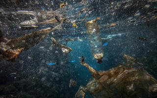 MINDFUL CONSUMPTION: MAKING INFORMED CHOICES FOR OCEAN CONSERVATION