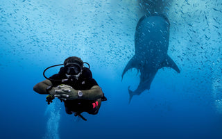 ECHOES OF THE SEA: A NAUTICAL TALE FROM RAJA AMPAT