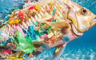 PLASTIC IN DAILY LIFE: MICROPLASTICS POLLUTION IN THE OCEAN
