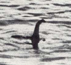 Nessie Sightings: Eyewitness Accounts and Their Stories