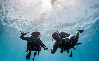 The Ultimate Guide to Scuba Diving: Equipment, Training, and Safety Tips
