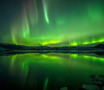 Cruising Under the Northern Lights: A Sea Adventure in the Arctic Circle