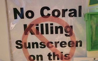 THE ROLE OF ZINC OXIDE AND TITANIUM DIOXIDE IN REEF-SAFE SUNSCREENS