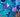 Manta Rays