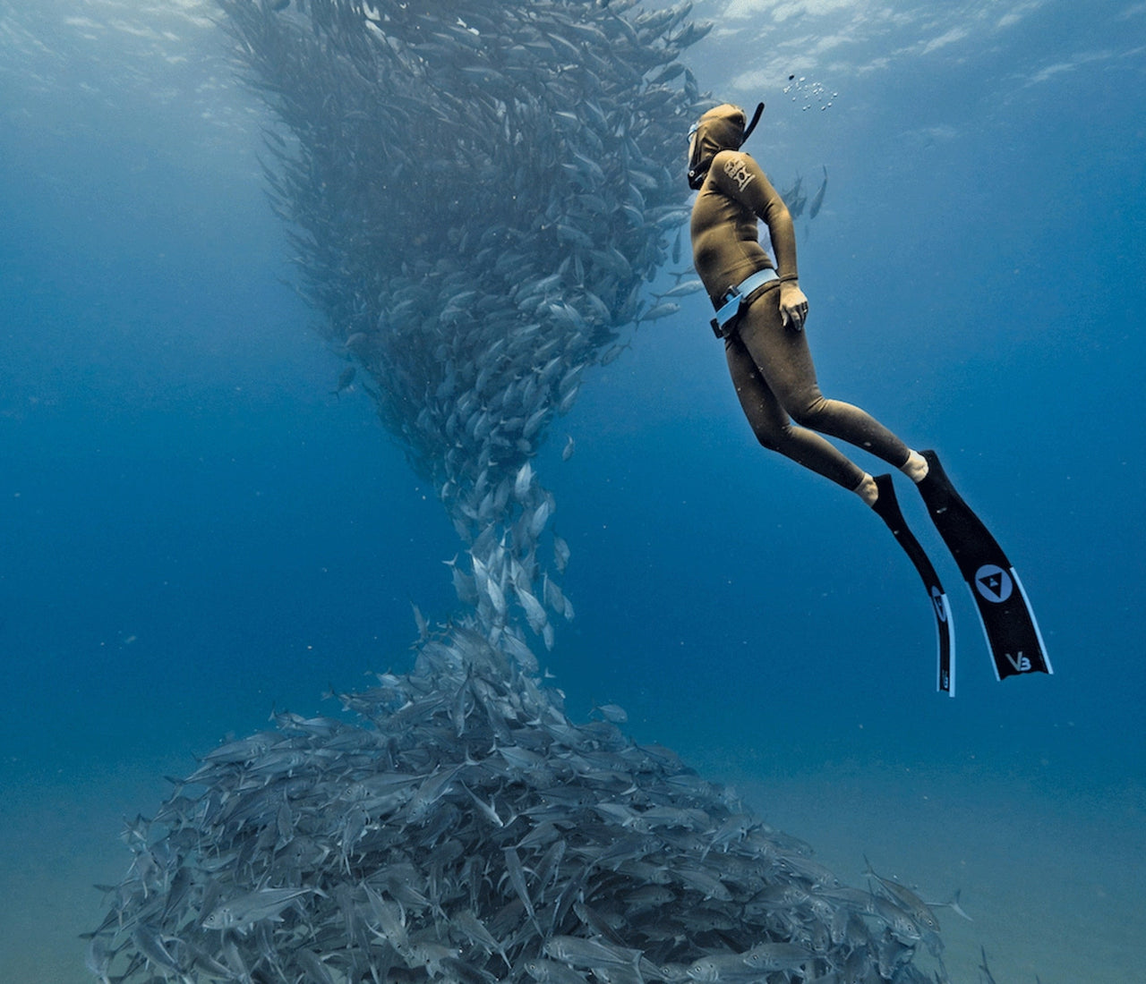 Diving Deep: World Records in Freediving and Scuba Diving – Spinnaker ...