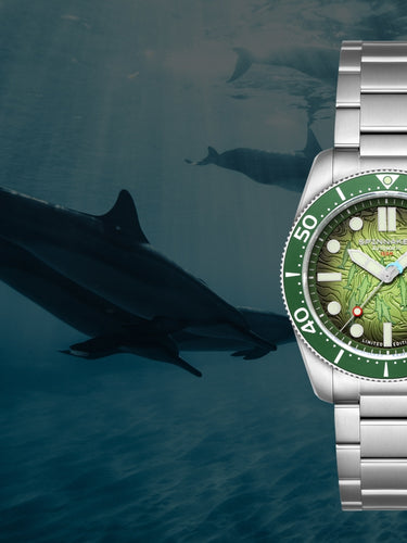 Dolphin Cave | Croft Mid-size Automatic Dolphin Project Limited