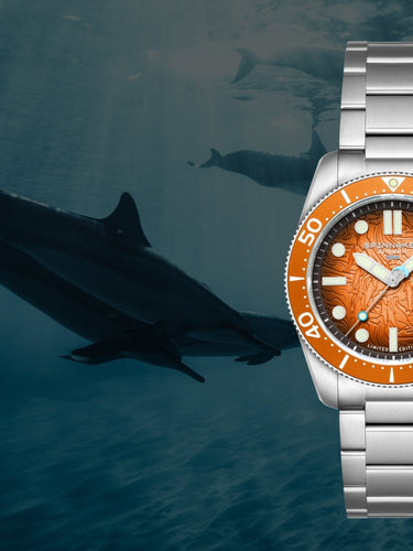 Sunrise Splash | Croft Mid-size Automatic Dolphin Project Limited