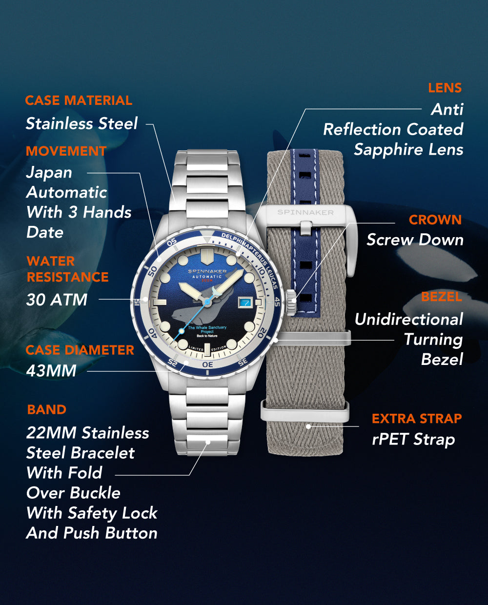 HASS AUTOMATIC WHALE SANCTUARY PROJECT LIMITED EDITION SP-5128