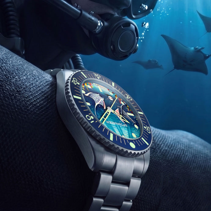 Spence 300 Automatic IFLW Manta Edition SP-5191 Unveil – Spinnaker